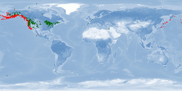 Distribution map: Oncorhynchus kisutch (Coho salmon)