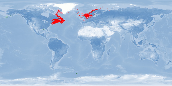 Distribution map: Hippoglossus hippoglossus (Atlantic halibut)