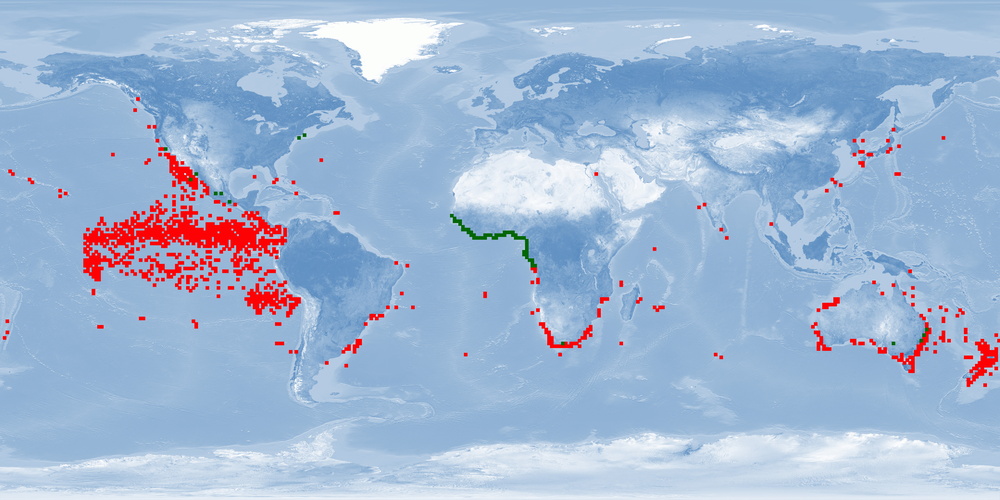 Distribution map: Seriola lalandi (Yellowtail amberjack)