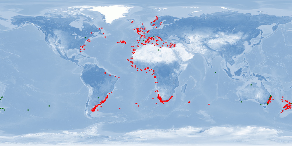 Distribution map: Polyprion americanus (Wreckfish)