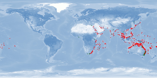 Distribution map: Lutjanus argentimaculatus (Mangrove red snapper)