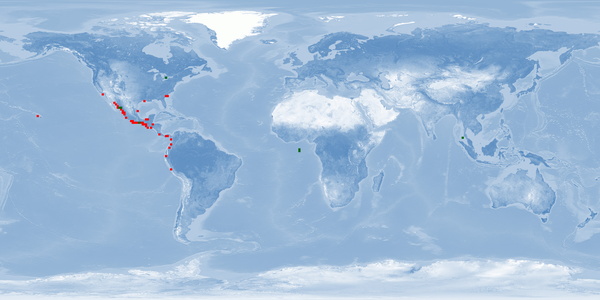 Distribution map: Litopenaeus vannamei (Whiteleg shrimp)