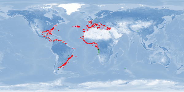 Distribution map: Pagrus pagrus (Red Porgy)